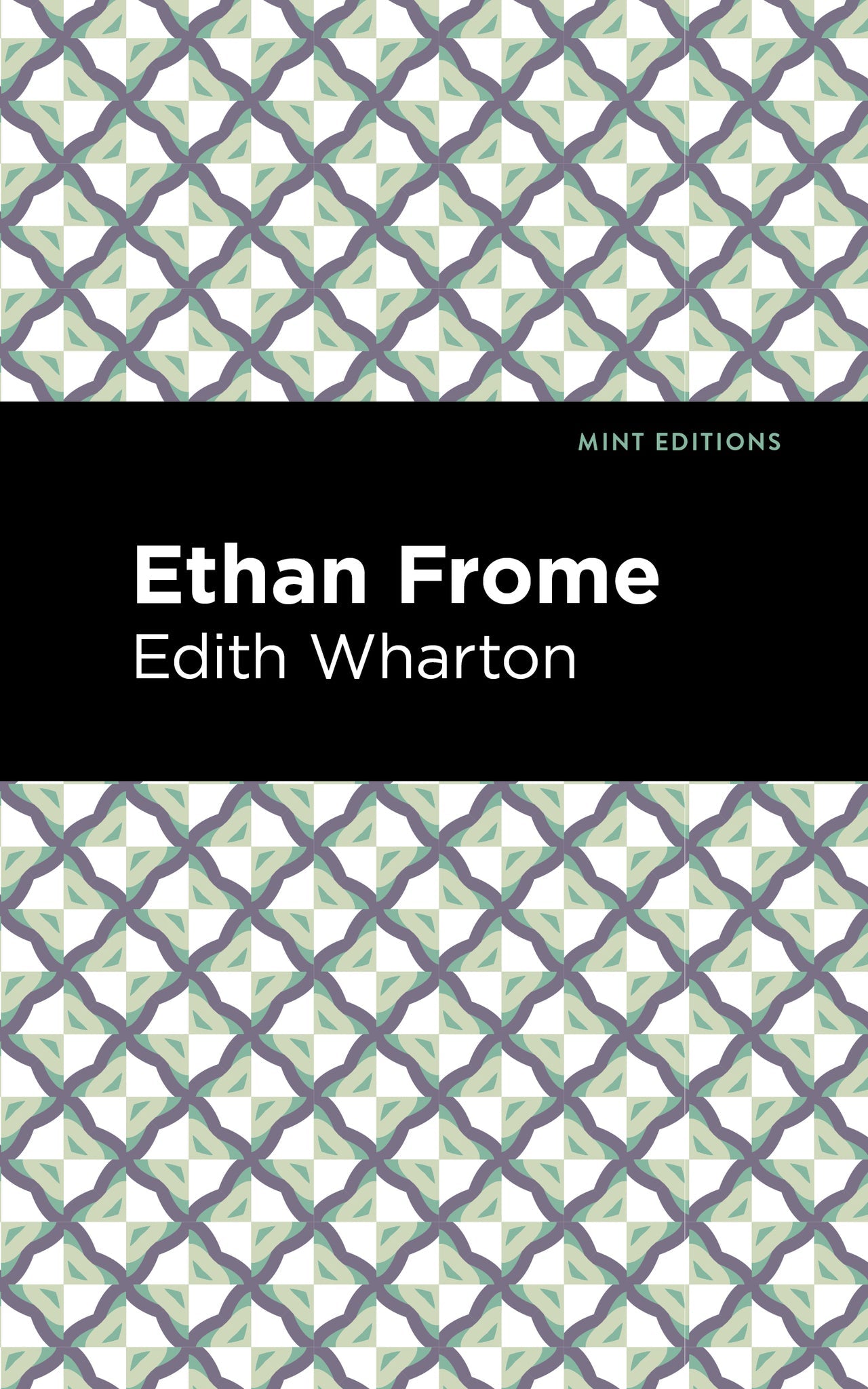 Cover image for Ethan Frome ISBN 9798888972199
